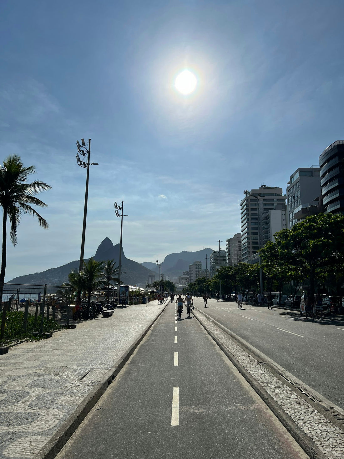 A sunny beachfront avenue in Rio de Janeiro with palm trees and Dois Irmãos in the distance